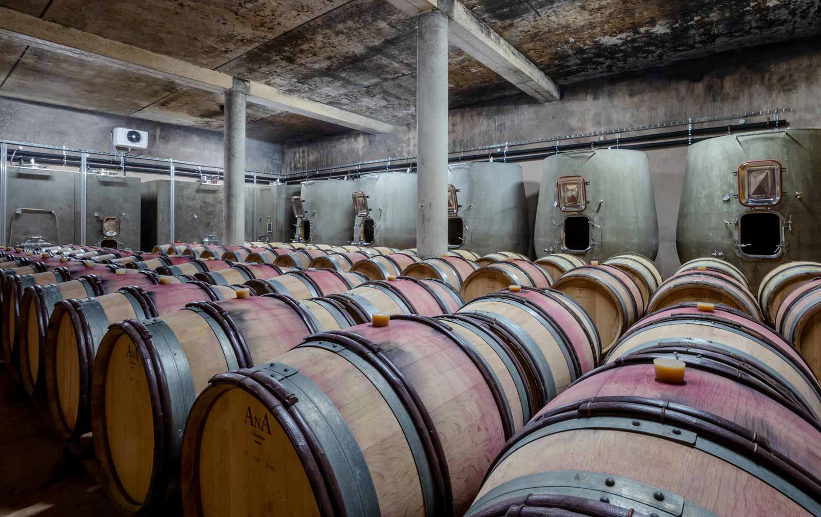 Der Weinkeller des Weinguts