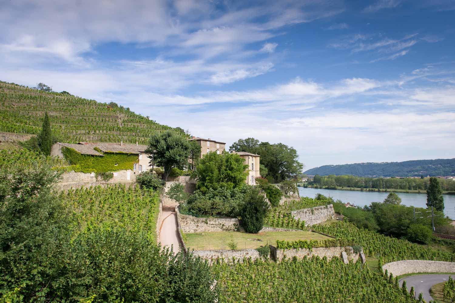 Weiberg Chateau Grillet