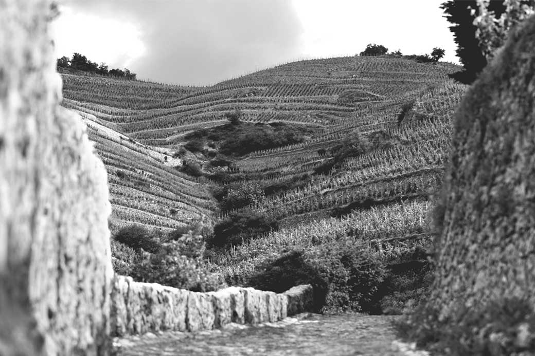 Domaine de la Chapelle ( Jaboulet Aine )
