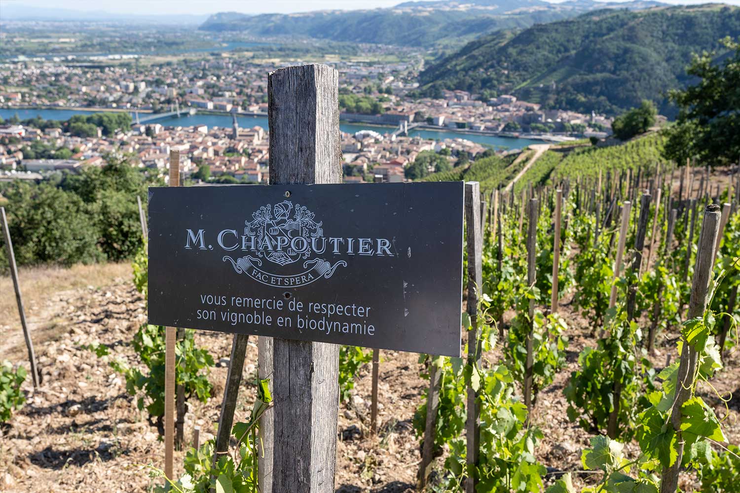 Chapoutier Schild Rhone