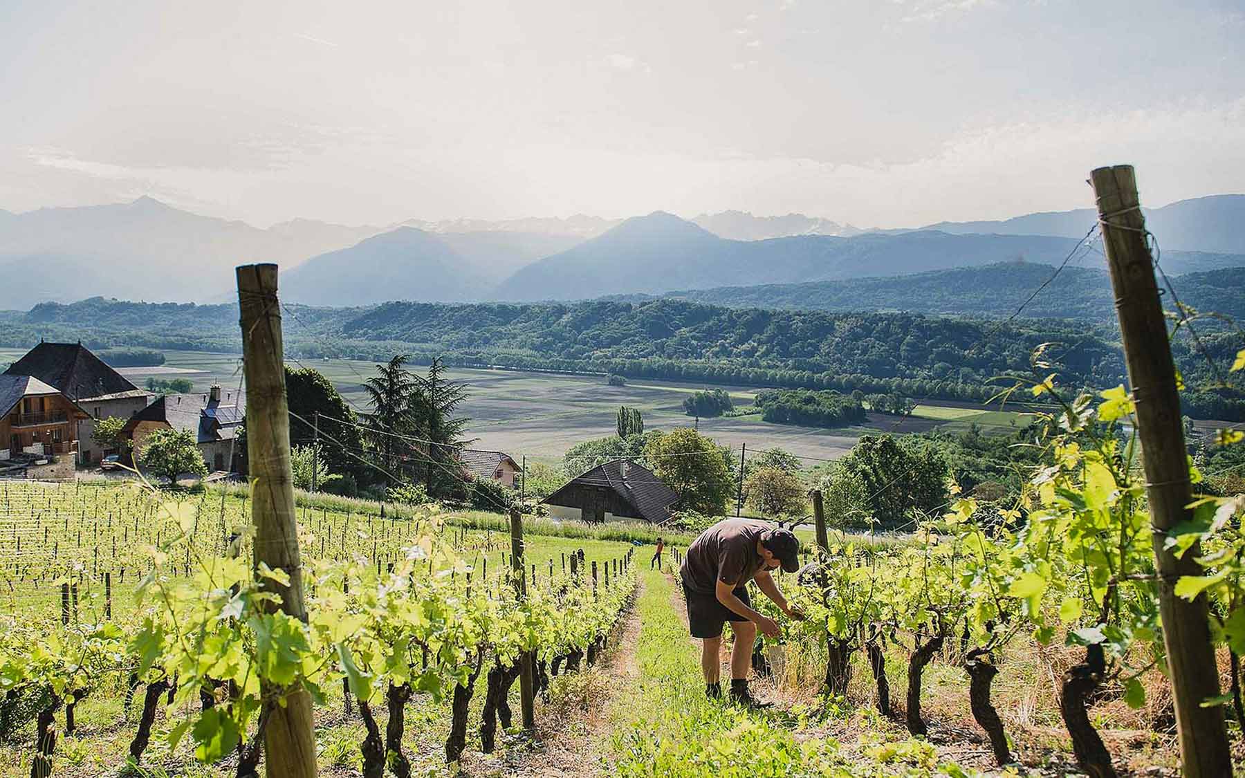 Domaine de Chevillard Domaine de Chevillard