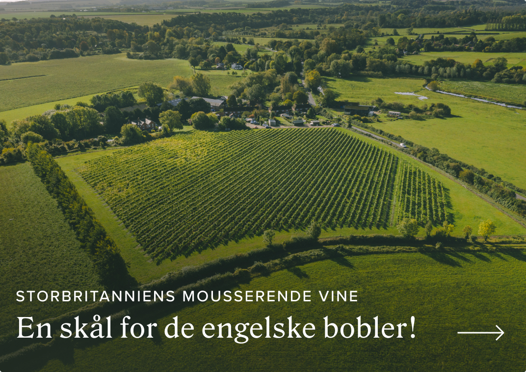 Black Chalk Weingut in Großbritannien