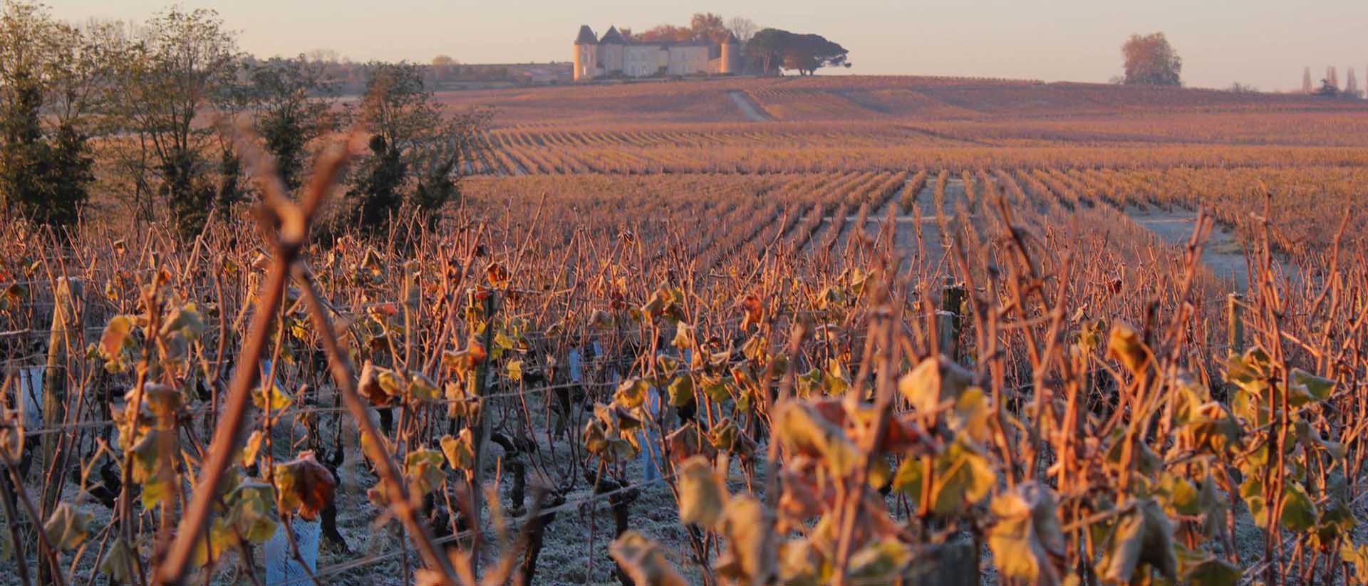 Weinfeld Bordeaux
