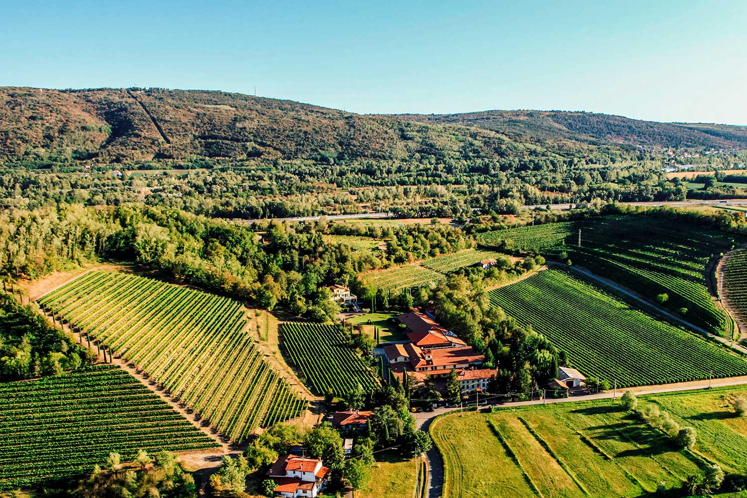 Weingut