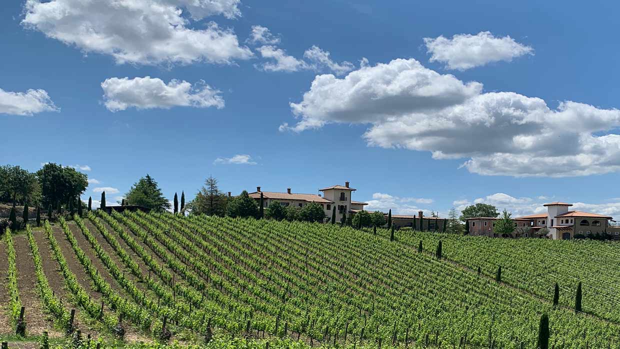 Das Weingut