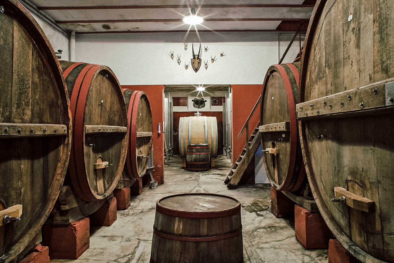 Weinkeller von Villa Bucci
