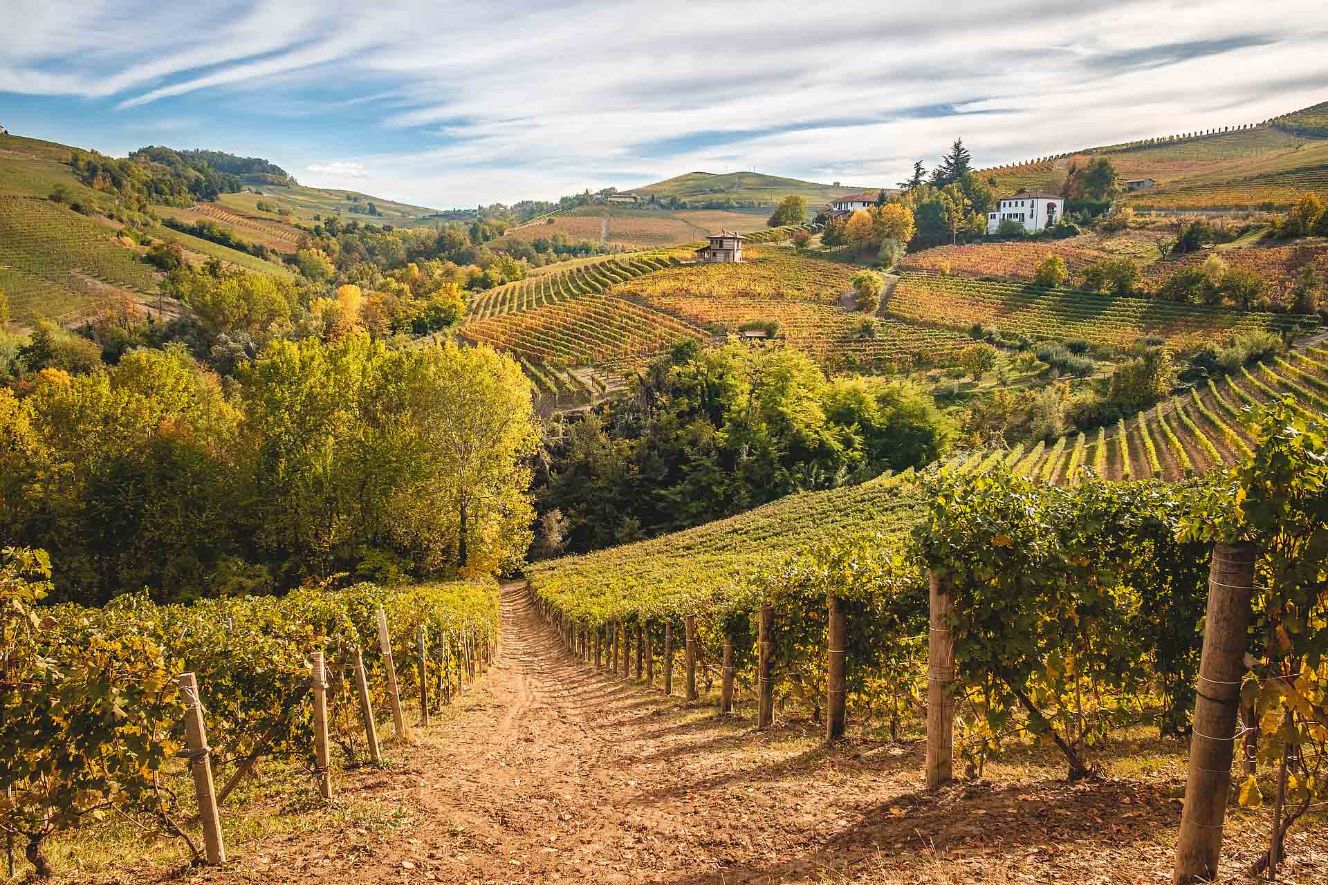 Weinlage Barbaresco Piemont