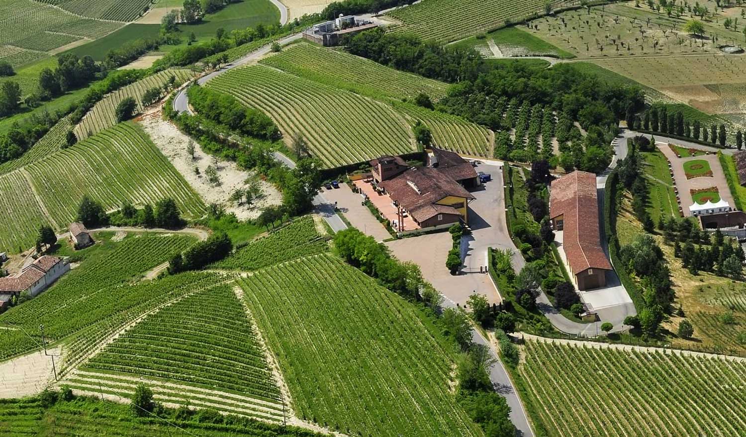 Weinfelder, Weingut Berta aus Vogelperspektive