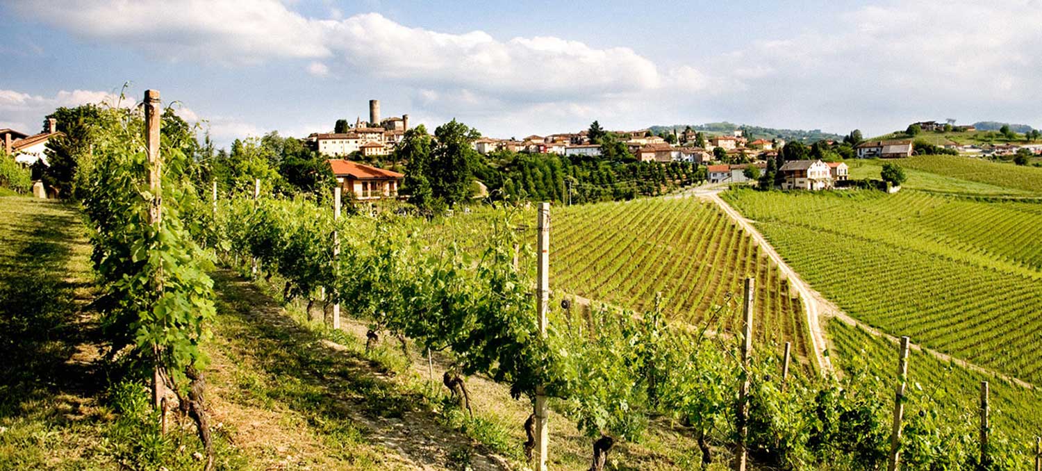 Weinfeld mit Dorf, Weingut und Weinbergen im Hintergrund