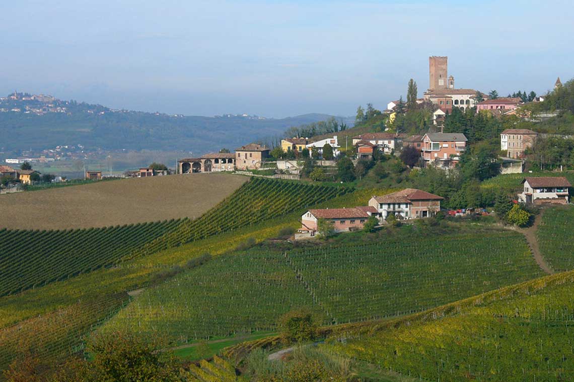 Weinberge der Weinkeller der Produttori del Barbaresco