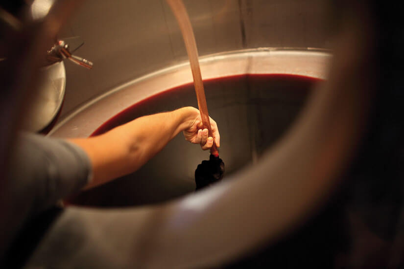 Wein, Maische