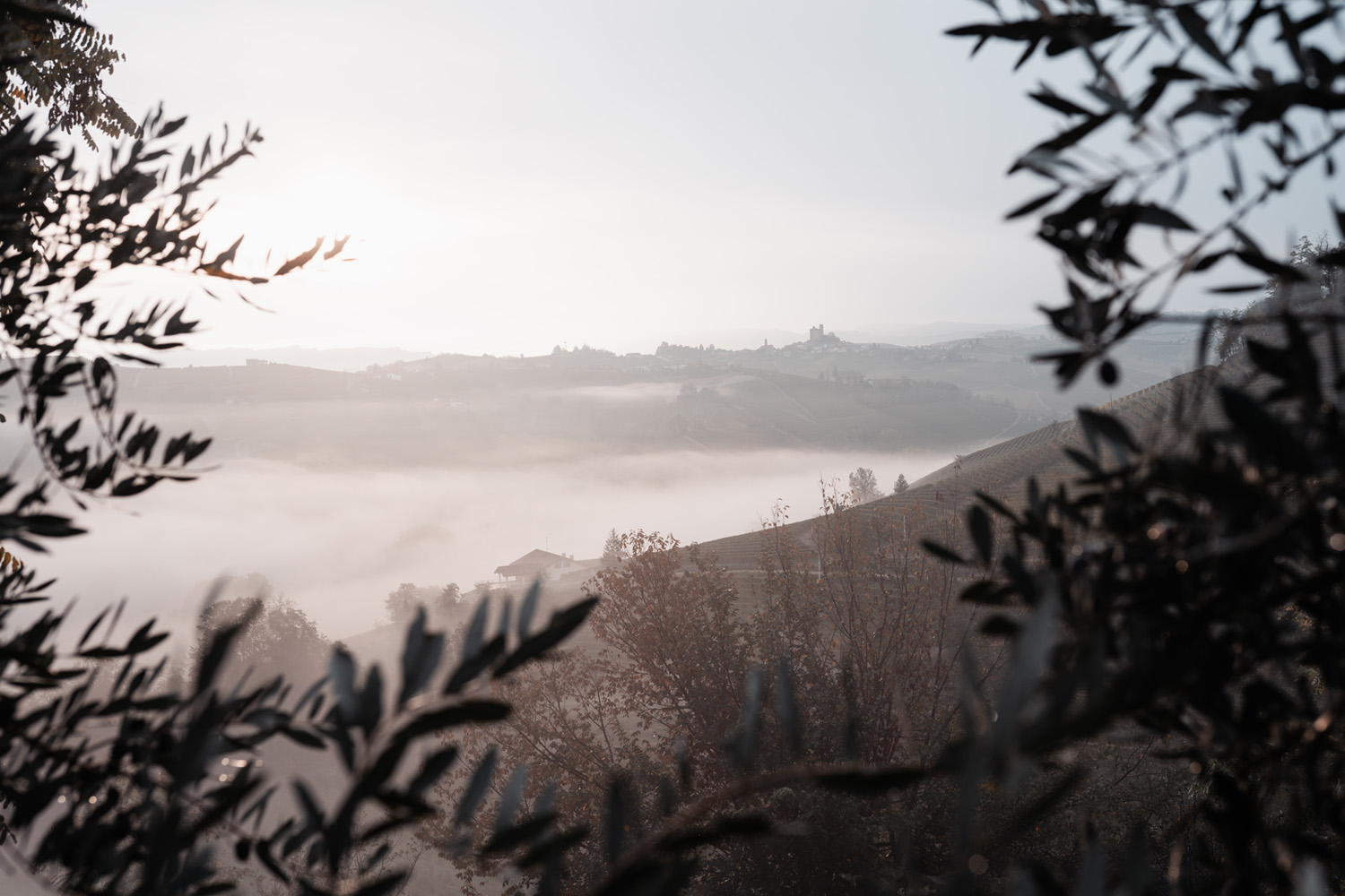 Weingut Vietti