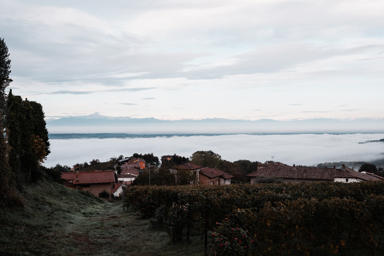 Vietti