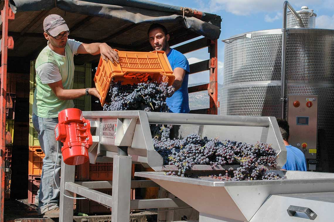 Arbeiter bei der Weinverarbeitung