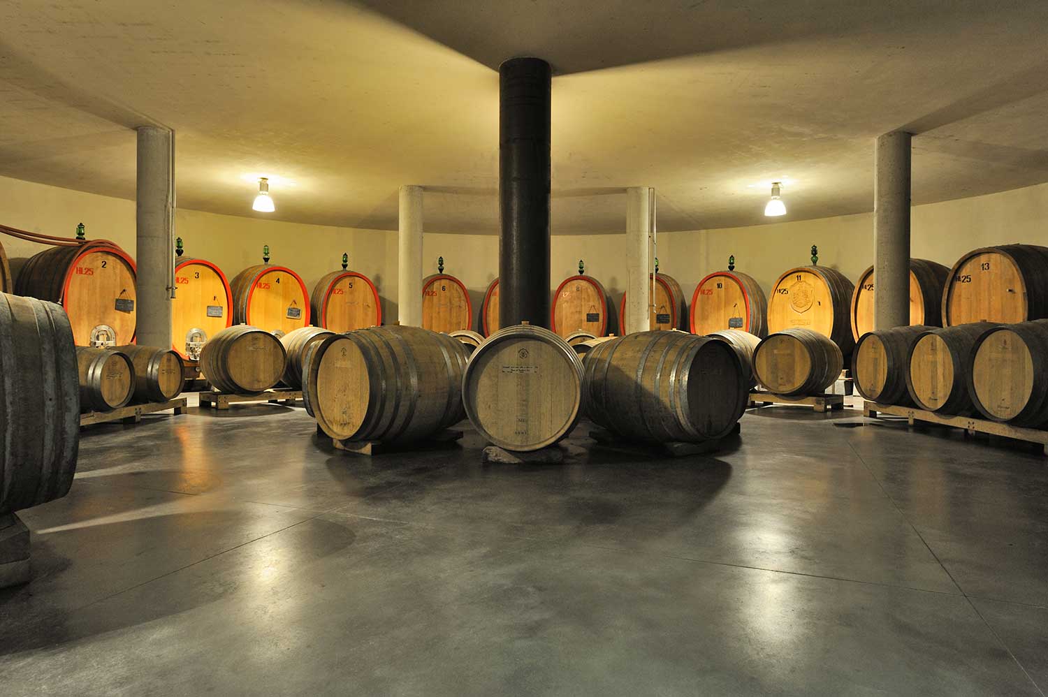 Weinkeller und Weinfässer Pian dell’Orino