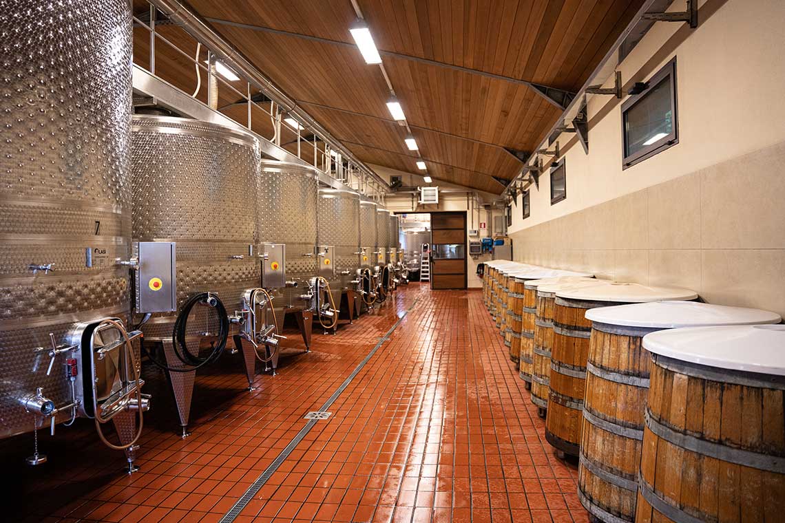 Weinkeller und Weinfaesser des Weinguts Grattamacco