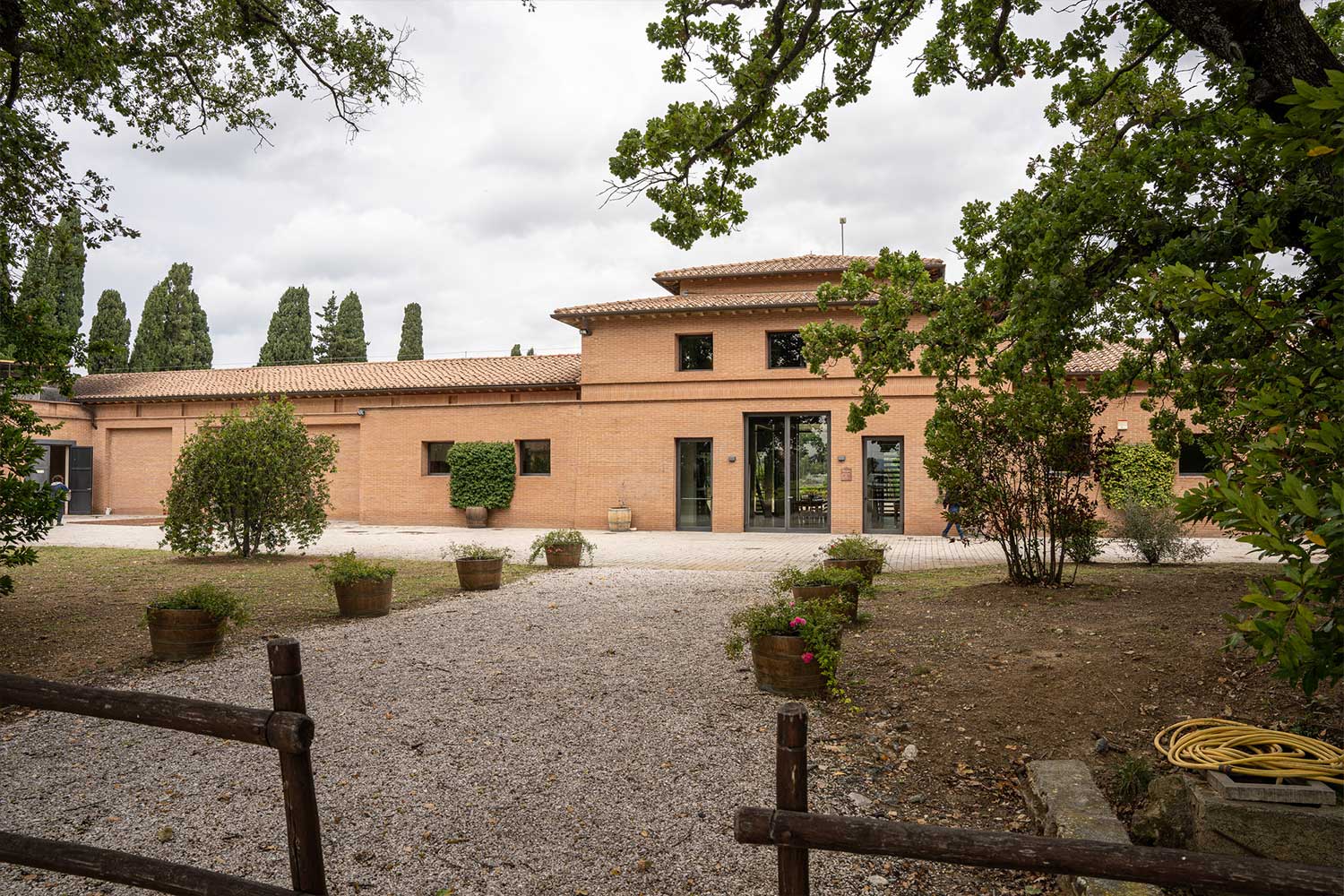 Weingut Tenuta San Guido