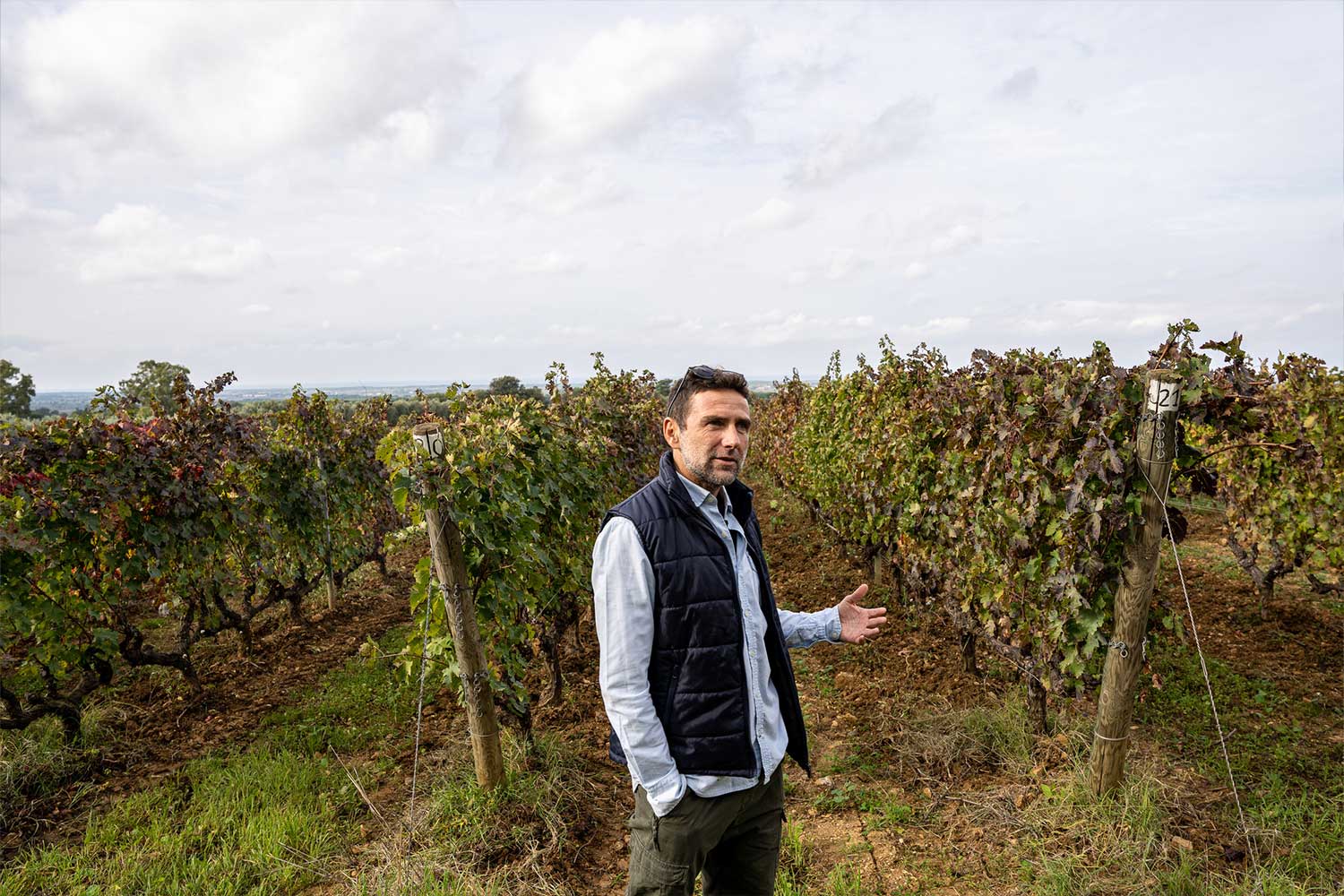Unterwegs in den Weinbergen von Weingut Tenuta San Guido