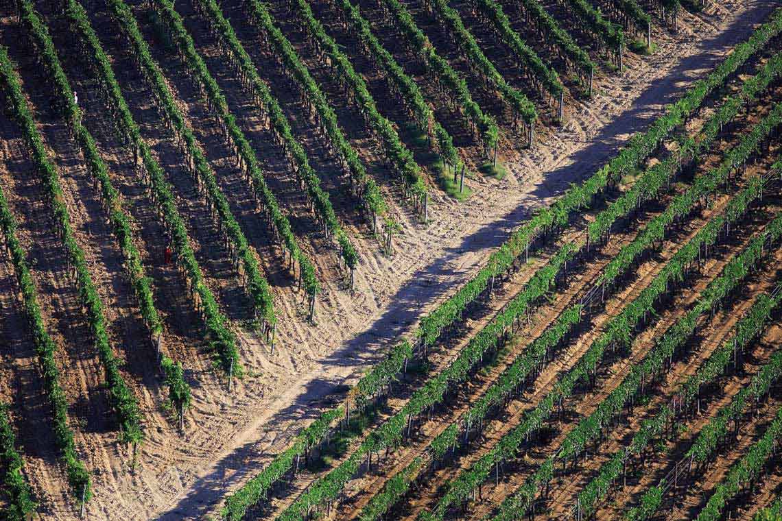 Weinregion Toskana aus der Vogelperspektive