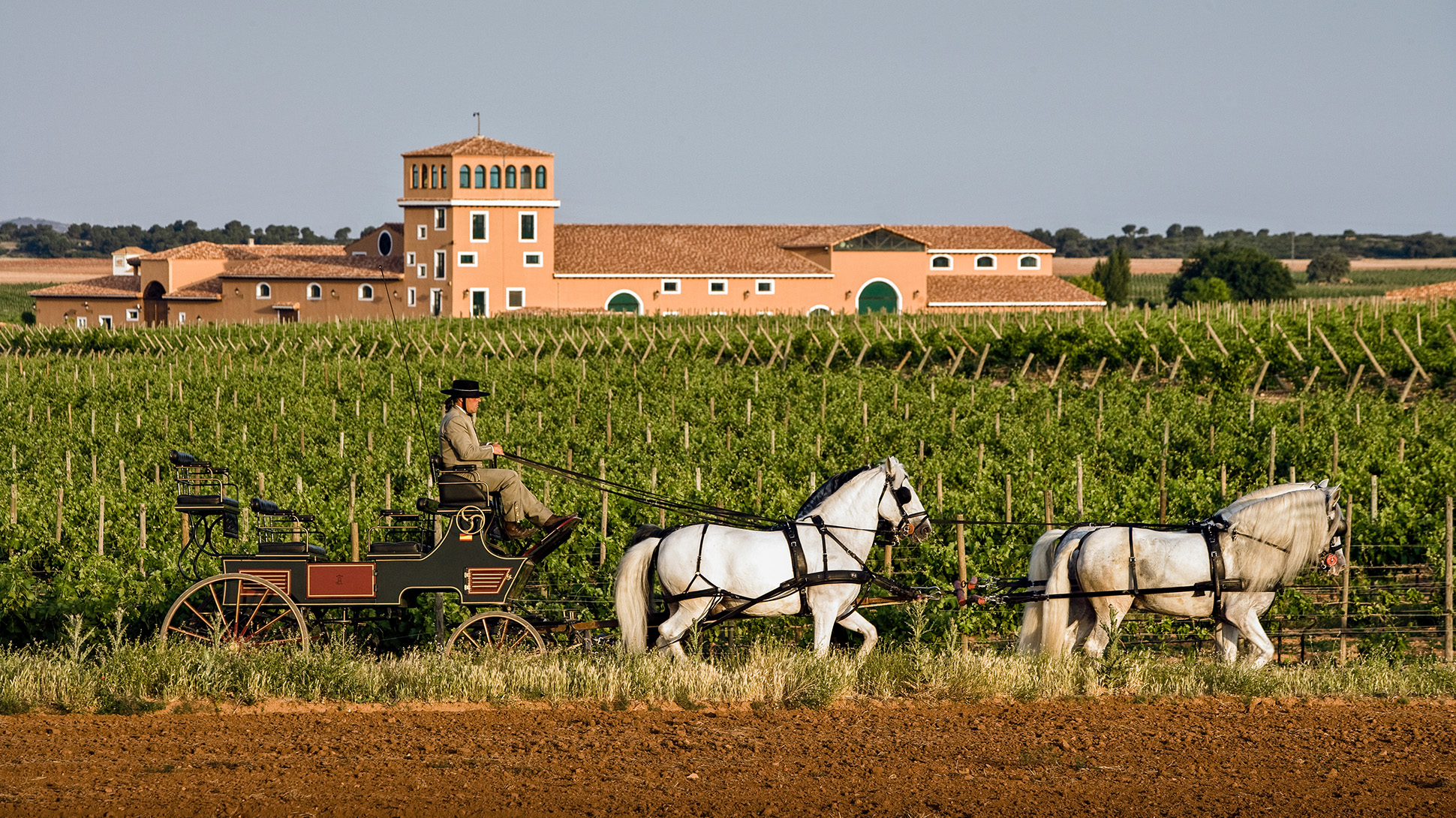 Ein Weingut in Jumilla