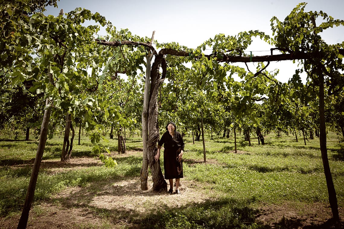 Die Winzerin von Feudi di San Gregorio