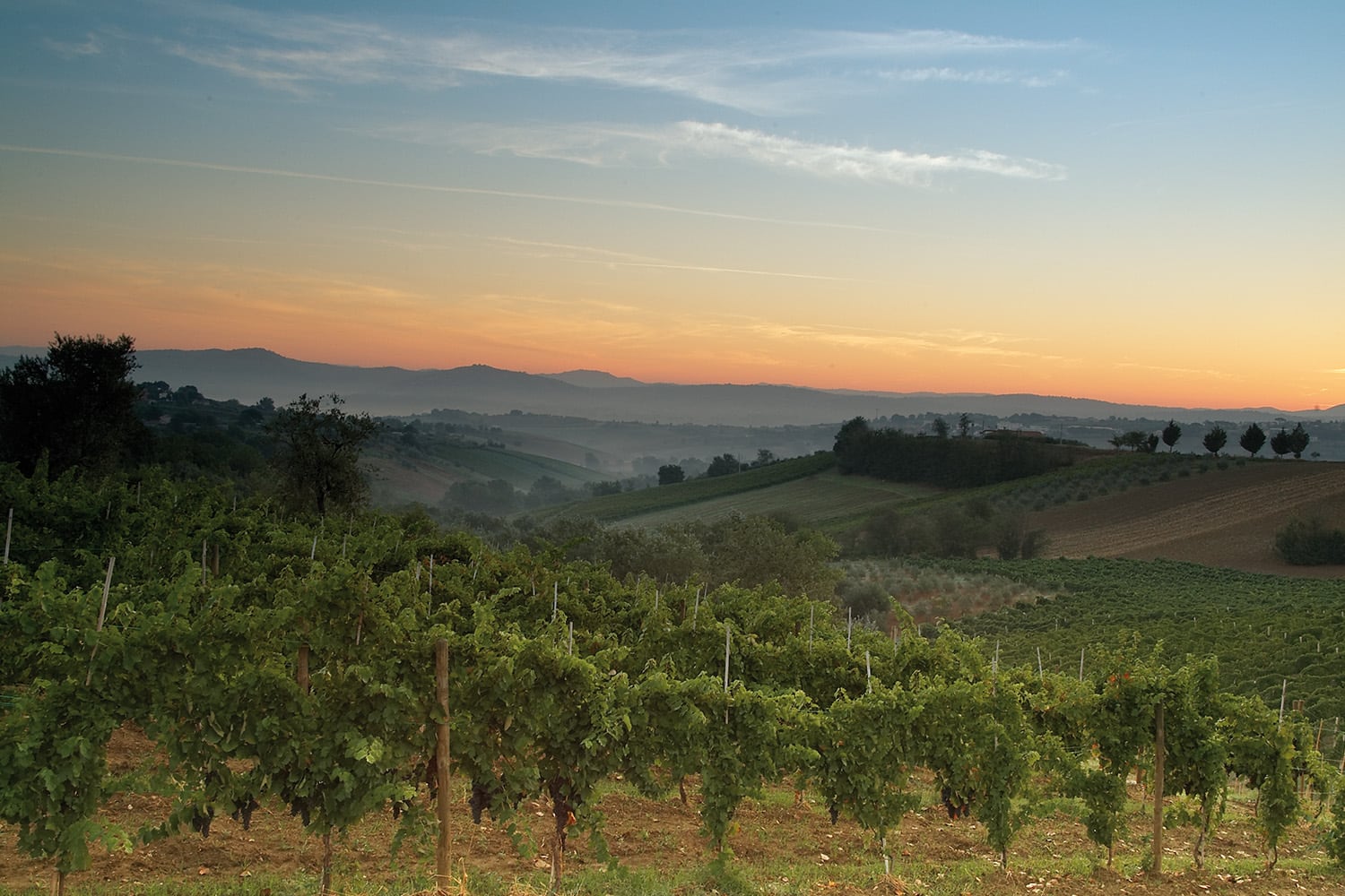 Landskabet i Campania