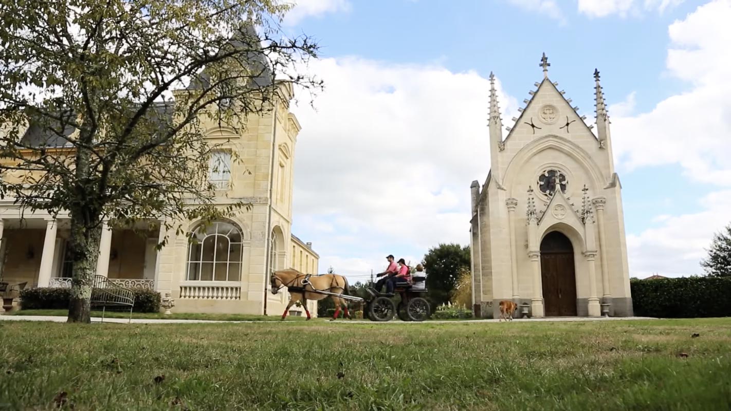 Chateau Leognan Video