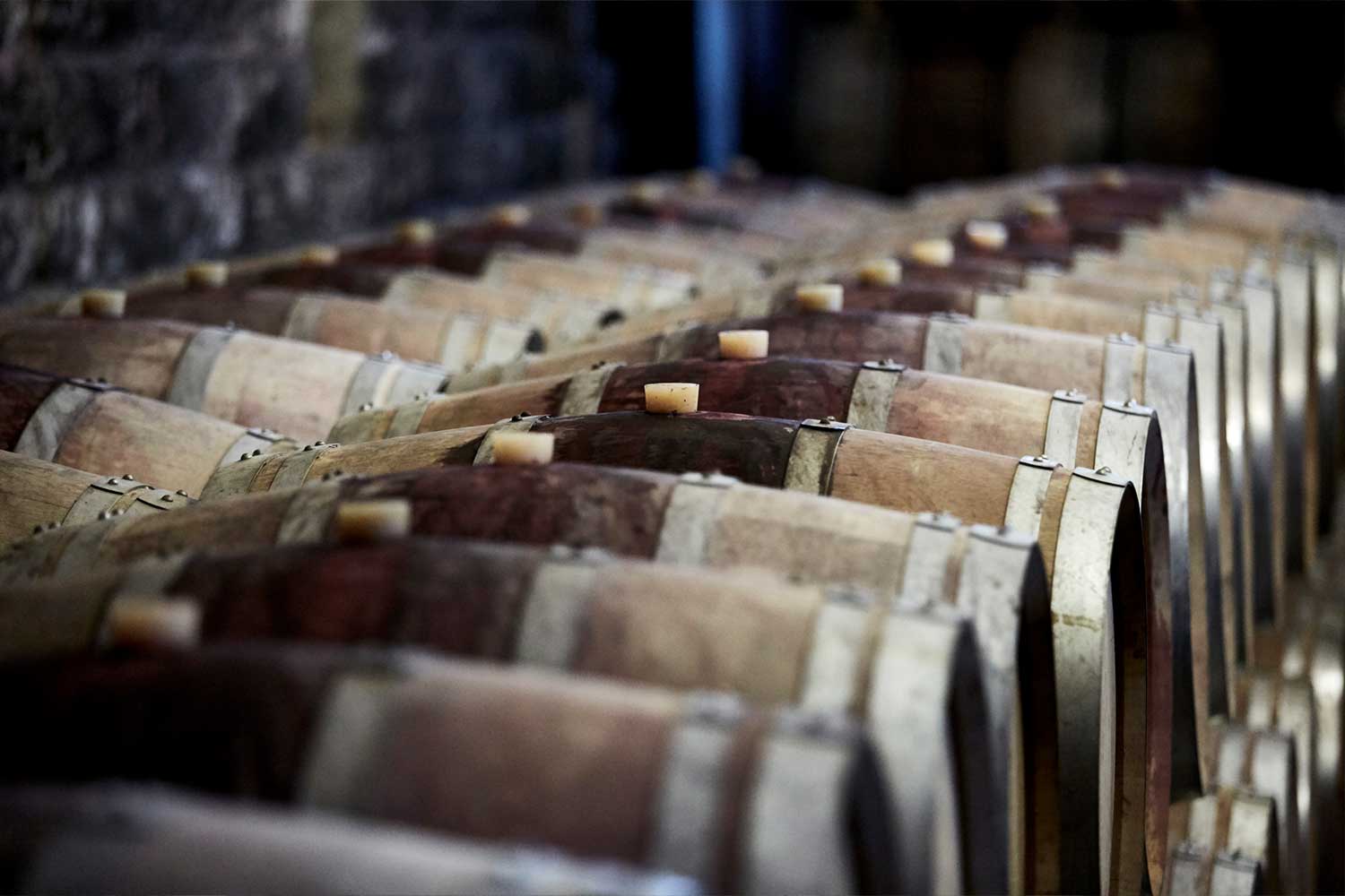 Weinkeller von Chateau Musar