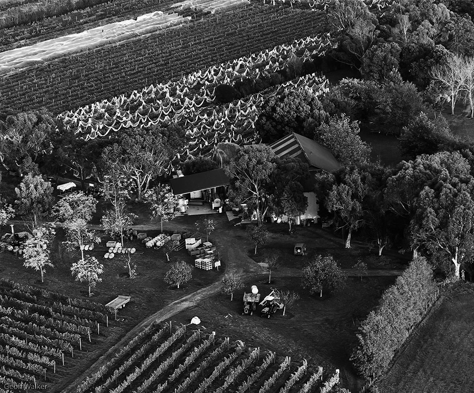 Weingut von oben