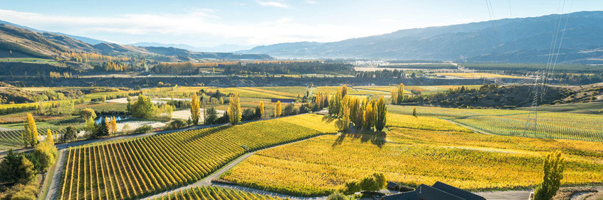 Felton Road in Neuseeland