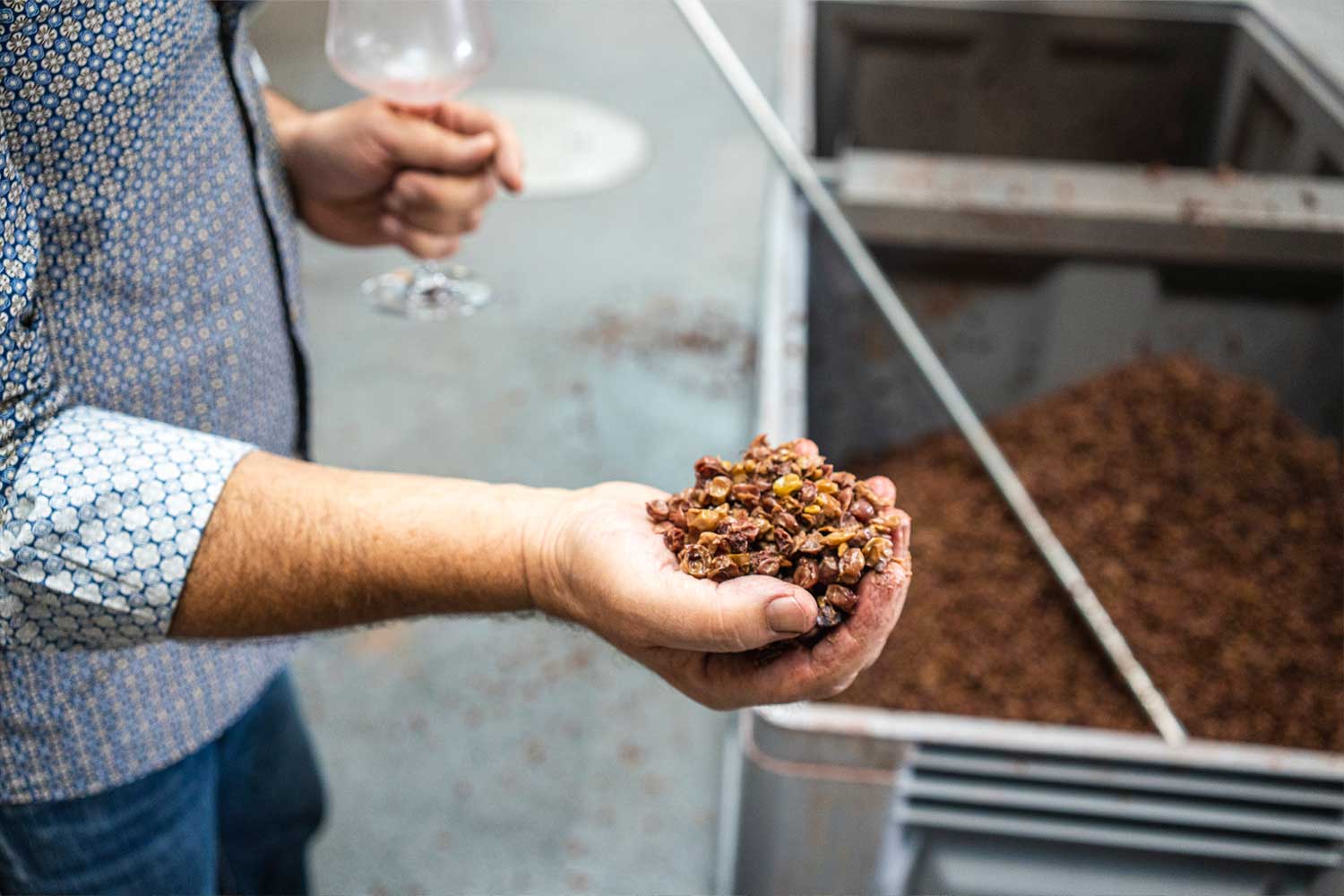 Trauben vom Weingut Heinrich