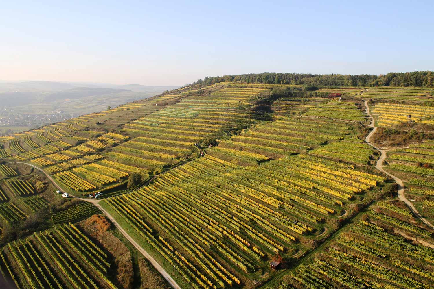 Panorama aus der Luft der Weinberge von Bründlmayer