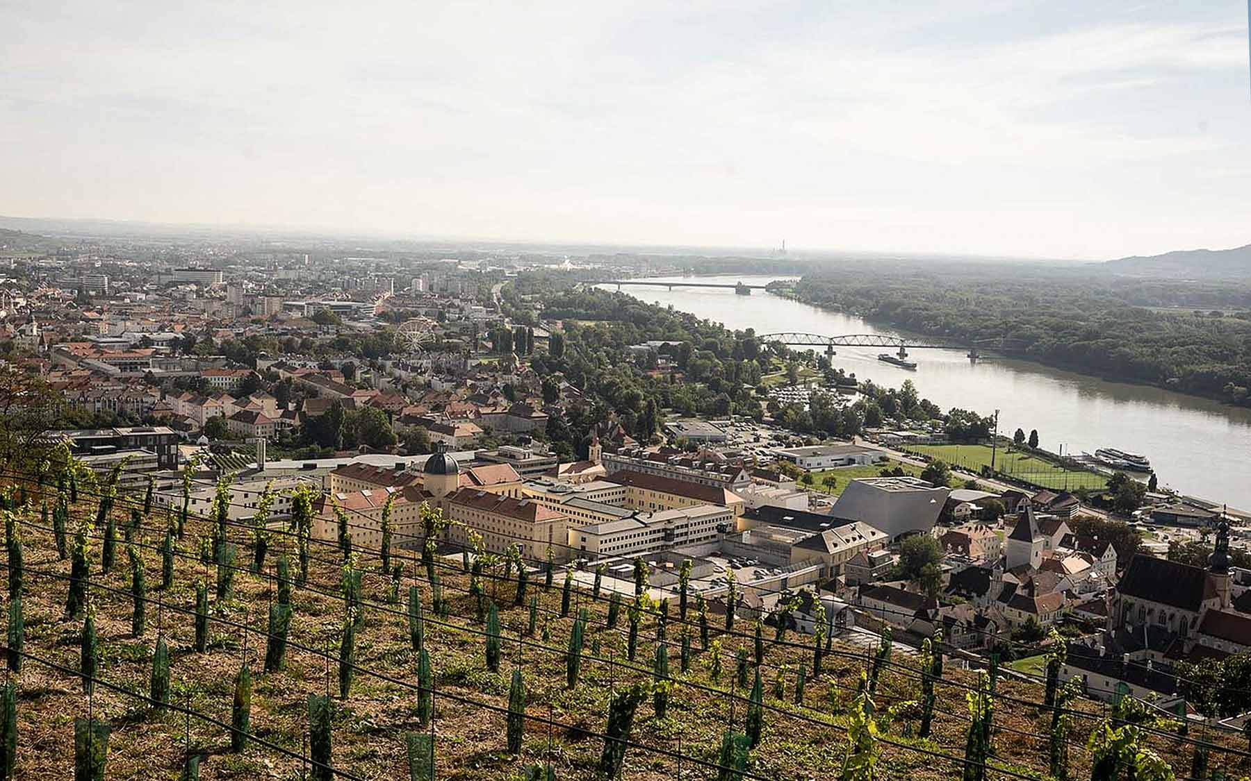 Weinregion Kremstal