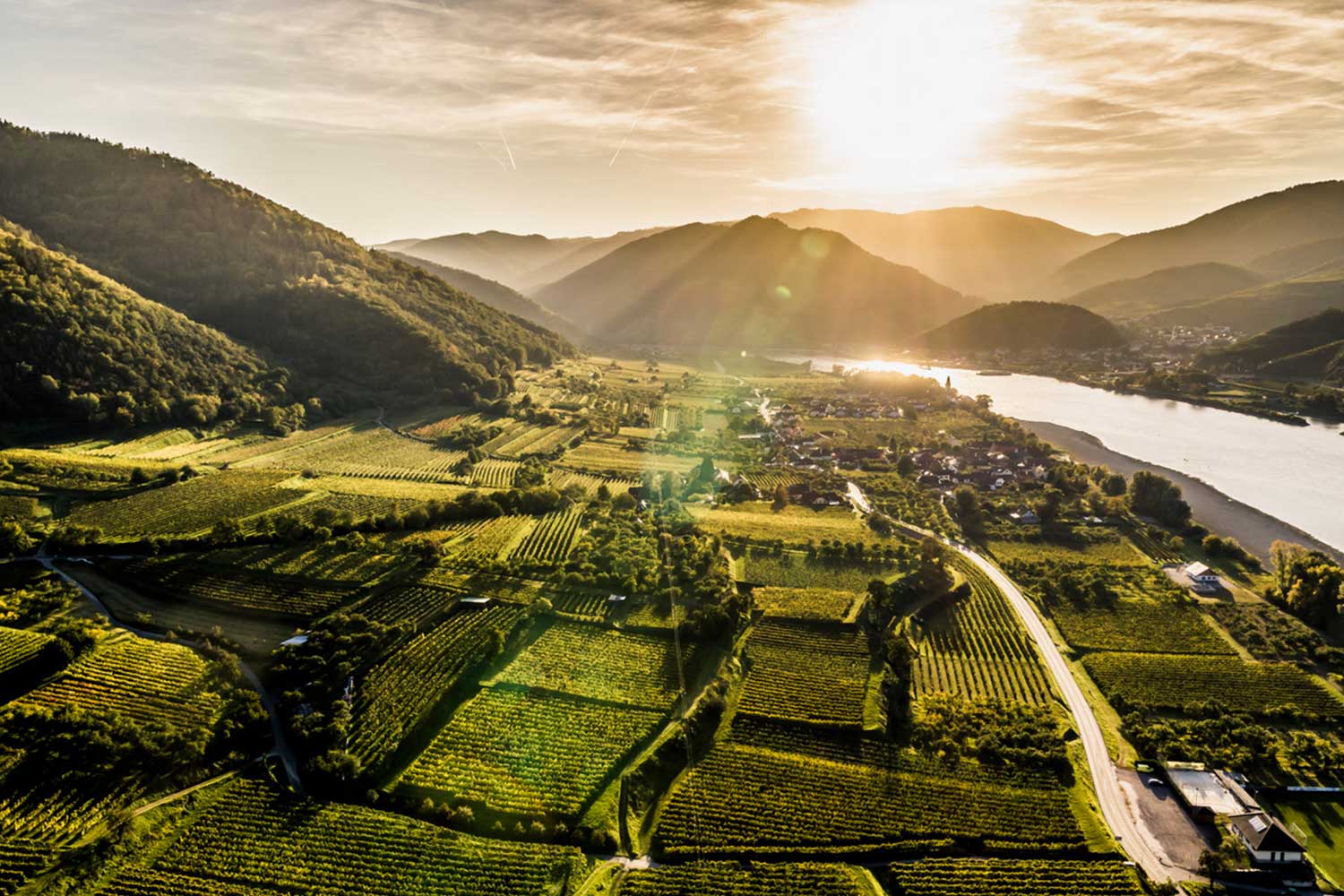 Weinberge von Bergkirchner