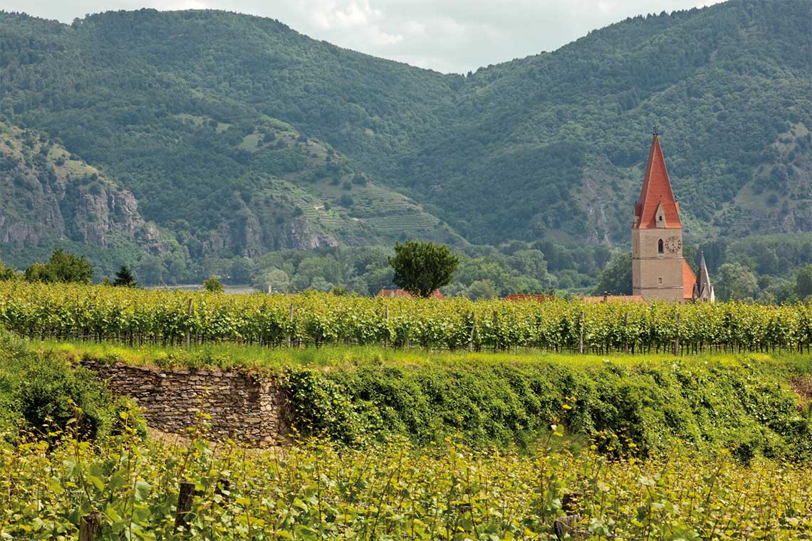 Weinberge vom Weingut Prager mit Kirche