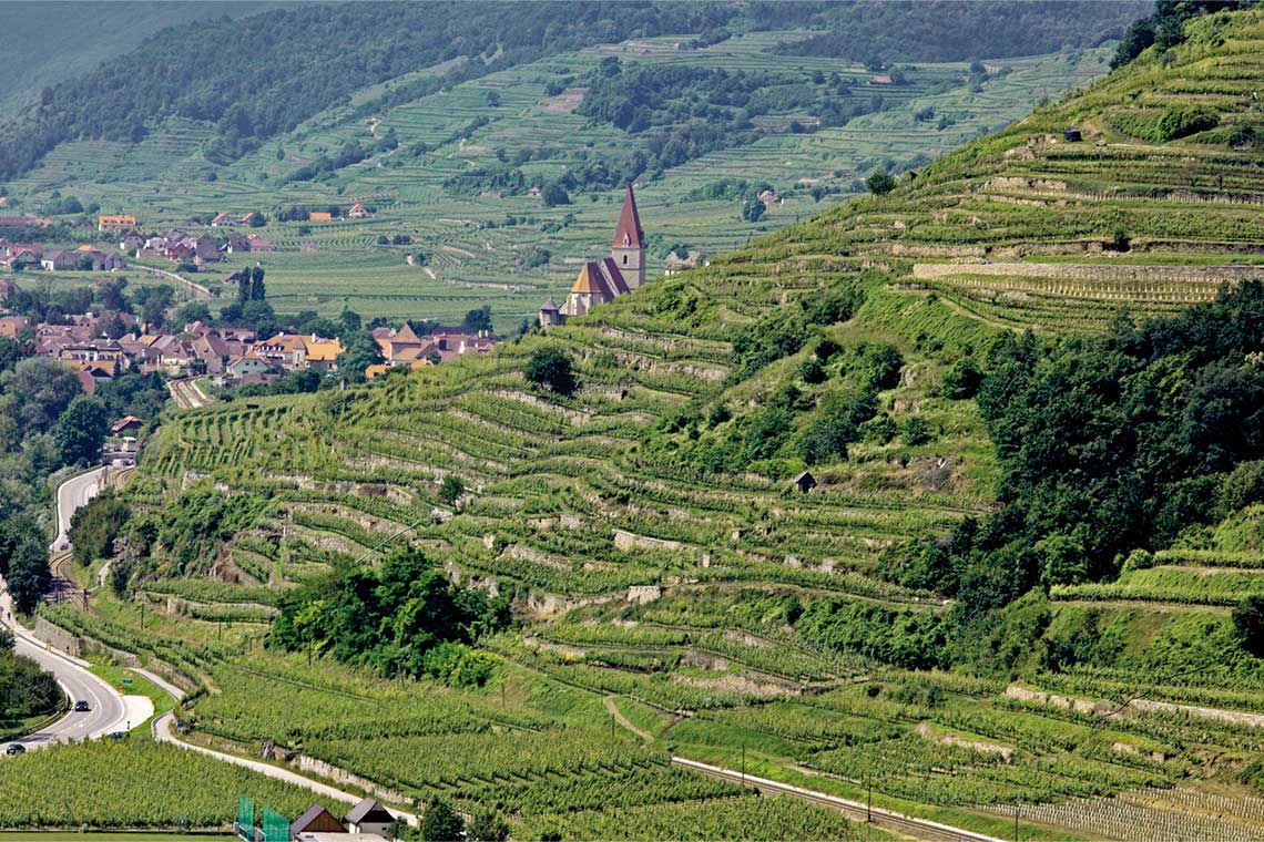 Weinberge vom Weingut Prager Luftaufnahme