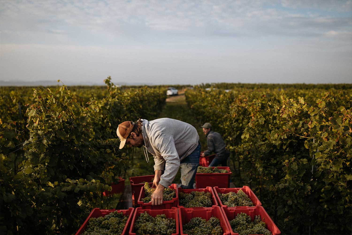Schödl Lobenbergs Gute Weine
