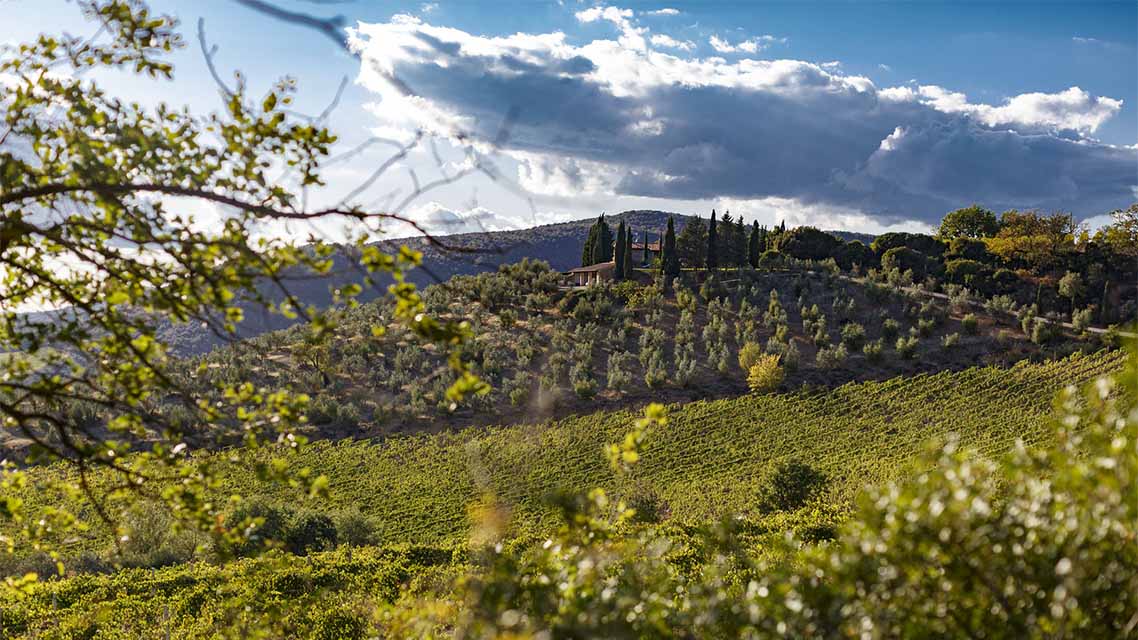 Poggio di Sotto
