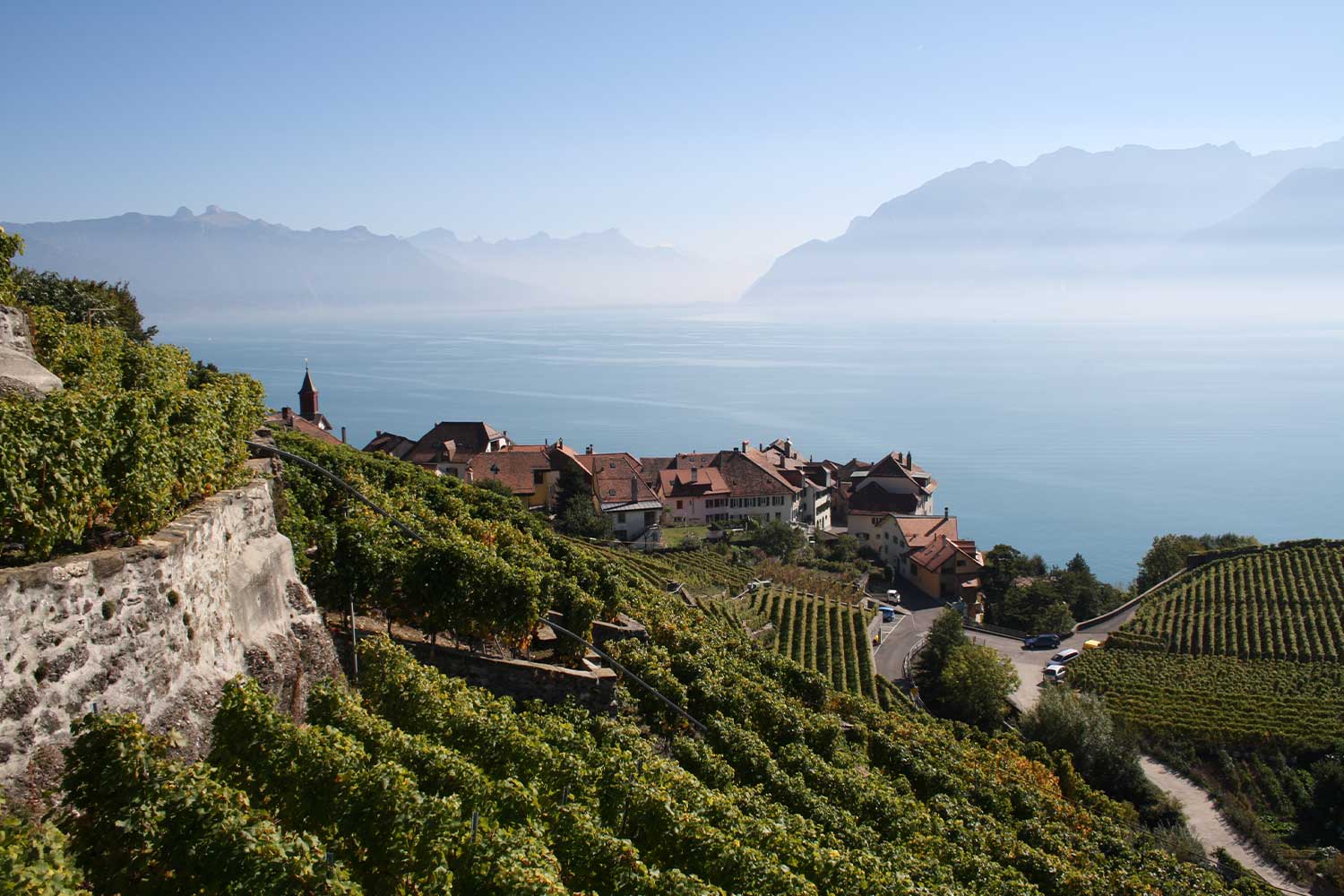 Domaine Louis Bovard Weingut mit Weinbergen am Hang vor einem großen See