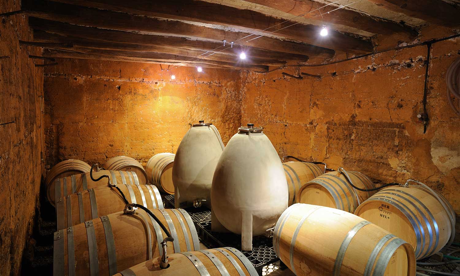 Weinfässer im Weinkeller Enric Soler 