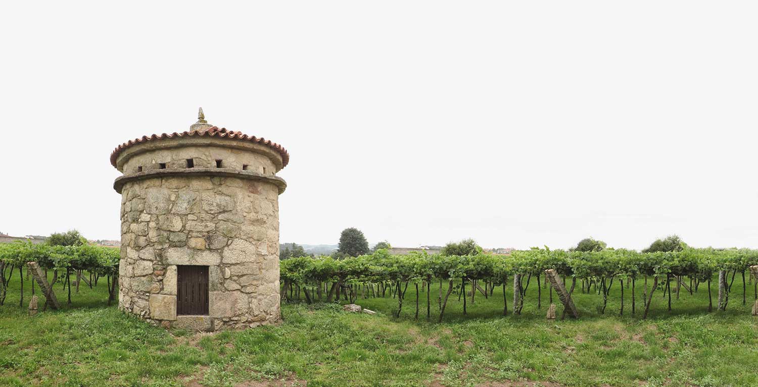Steinturm auf dem Weinfeld Zarate