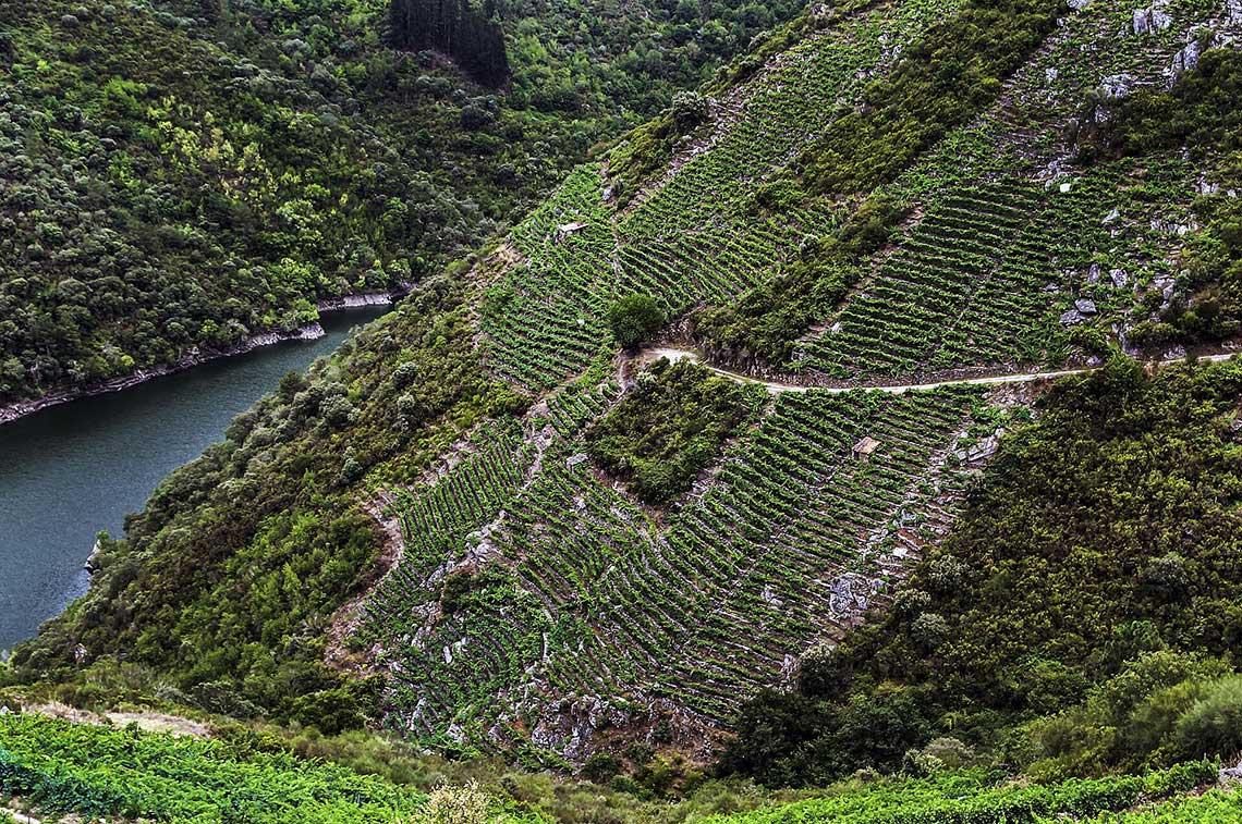Bodegas Guimaro – Pedro Rodriguez Perez