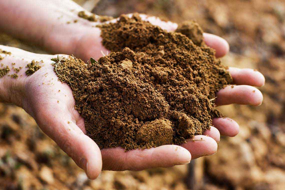 Bodenbeschaffenheit bei Artadi, Hände und Erde