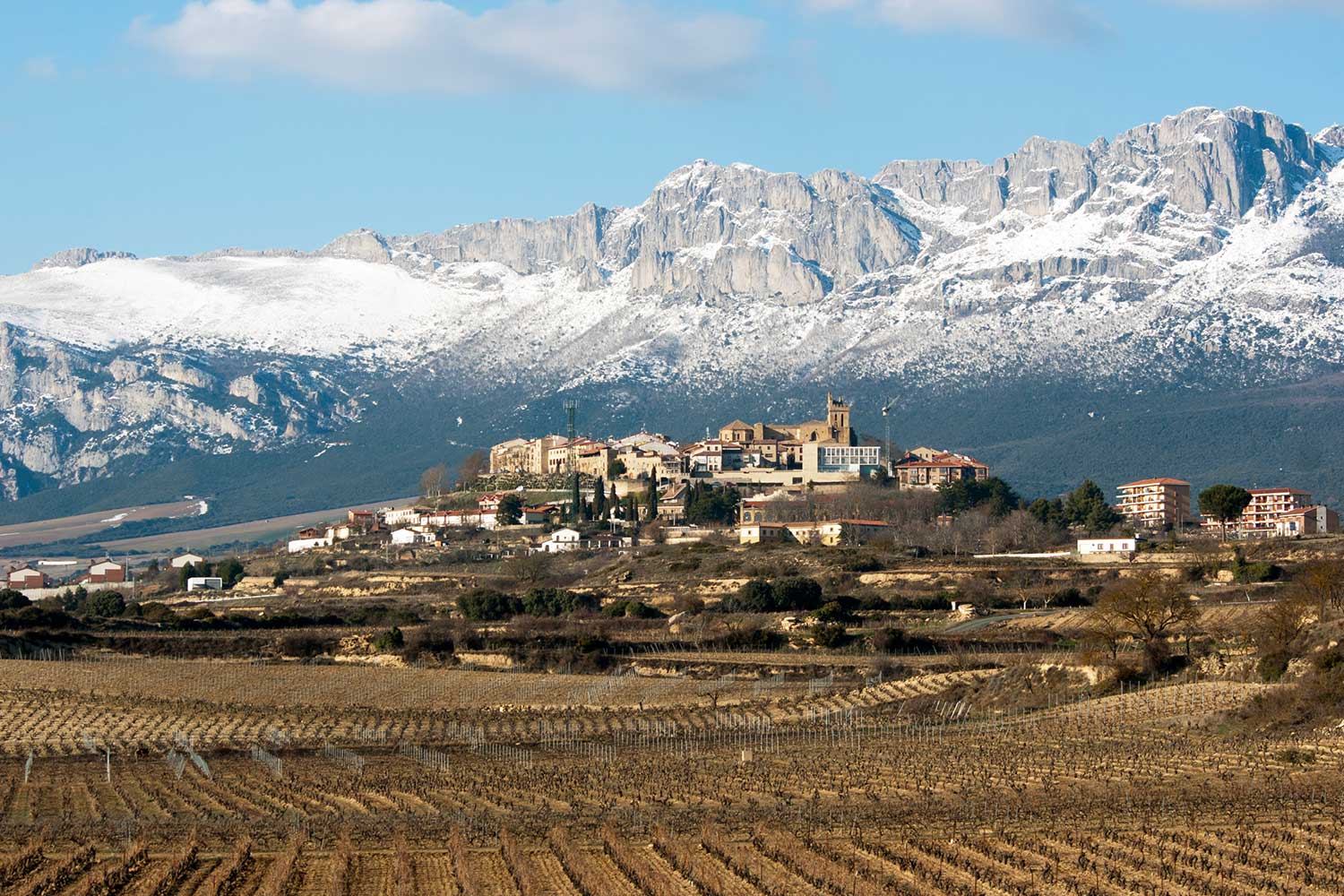 Weinberge der Bodegas Artadi de Laguardia