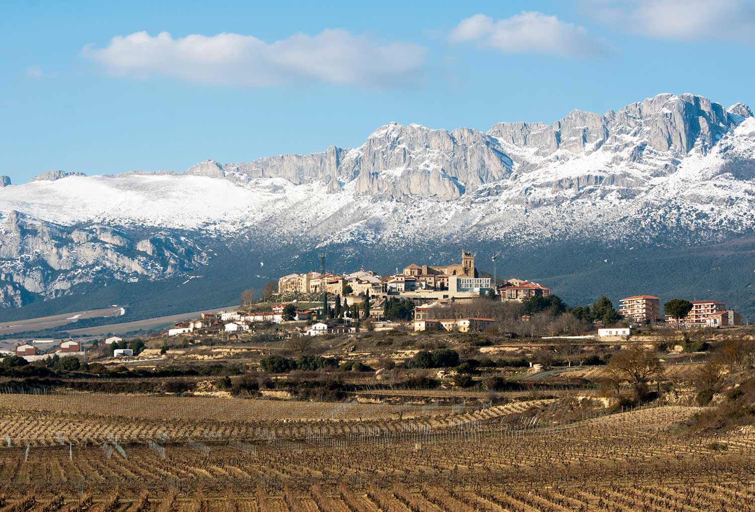 Weinberge von Artadi de Laguardia mit Dorf und Gebirge im Hintergrund