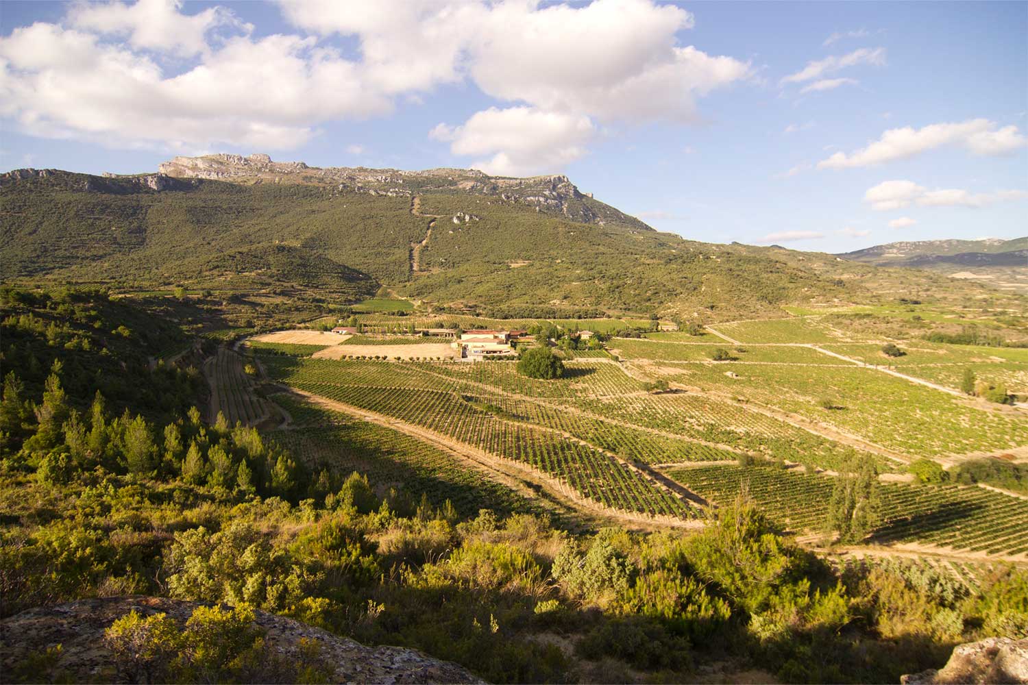 Weinberge der Bodegas Remelluri by Telmo Rodriguez