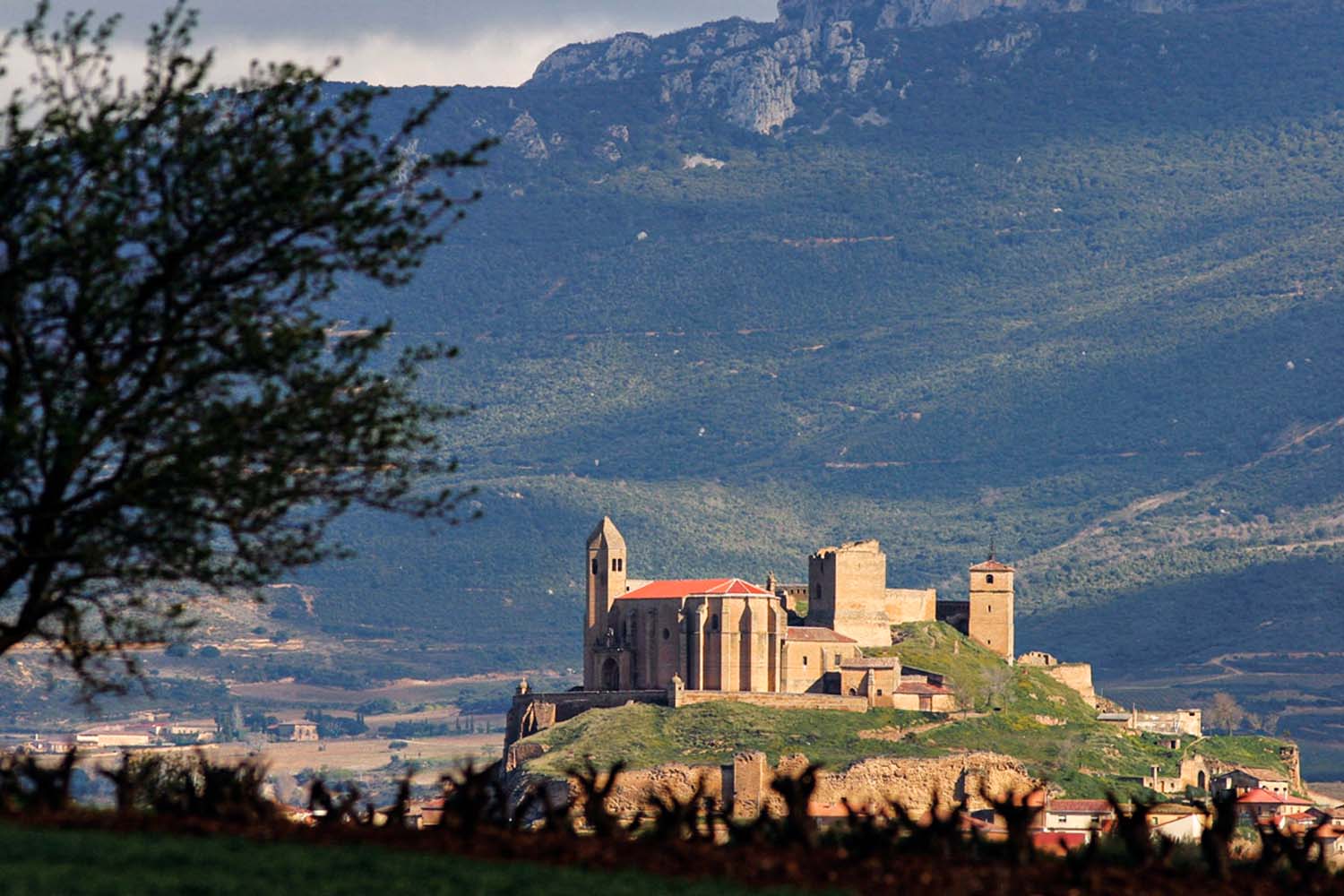 Weingut von Senorio de San Vicente als Fernaufnahme