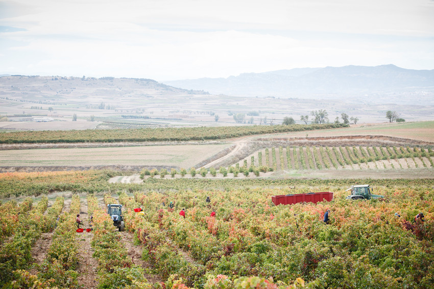 Weinregionen Rioja und Navarra