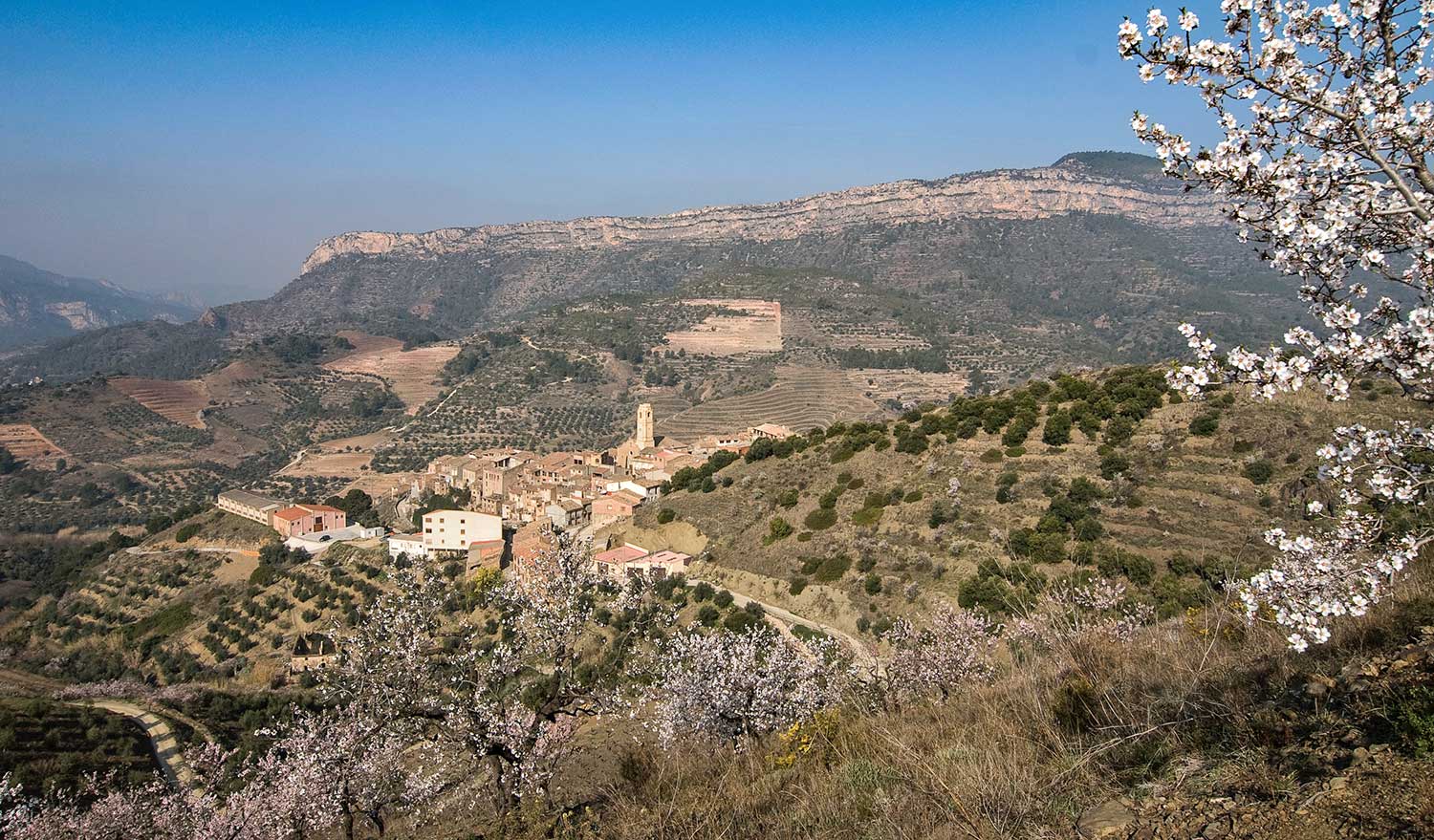 Weinberge Bodegas Telmo Rodriguez Rueda bei blauem Himmel