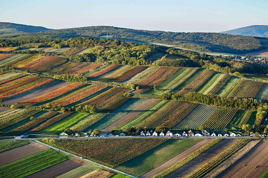 Sub 2025 aus dem Carnuntum